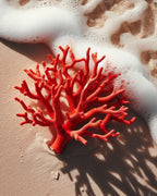 Camiseta · Coral